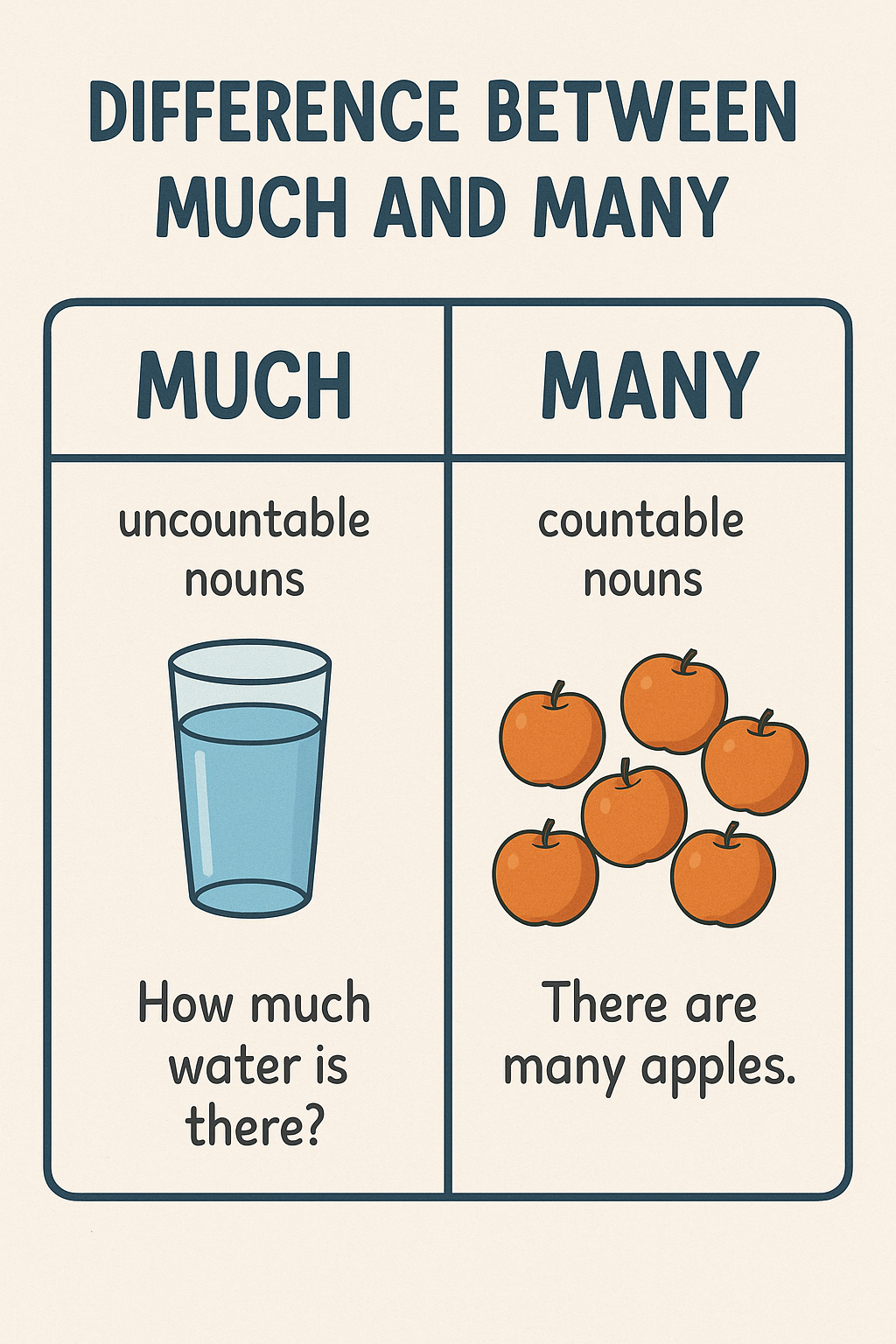 Difference Between Much and Many 