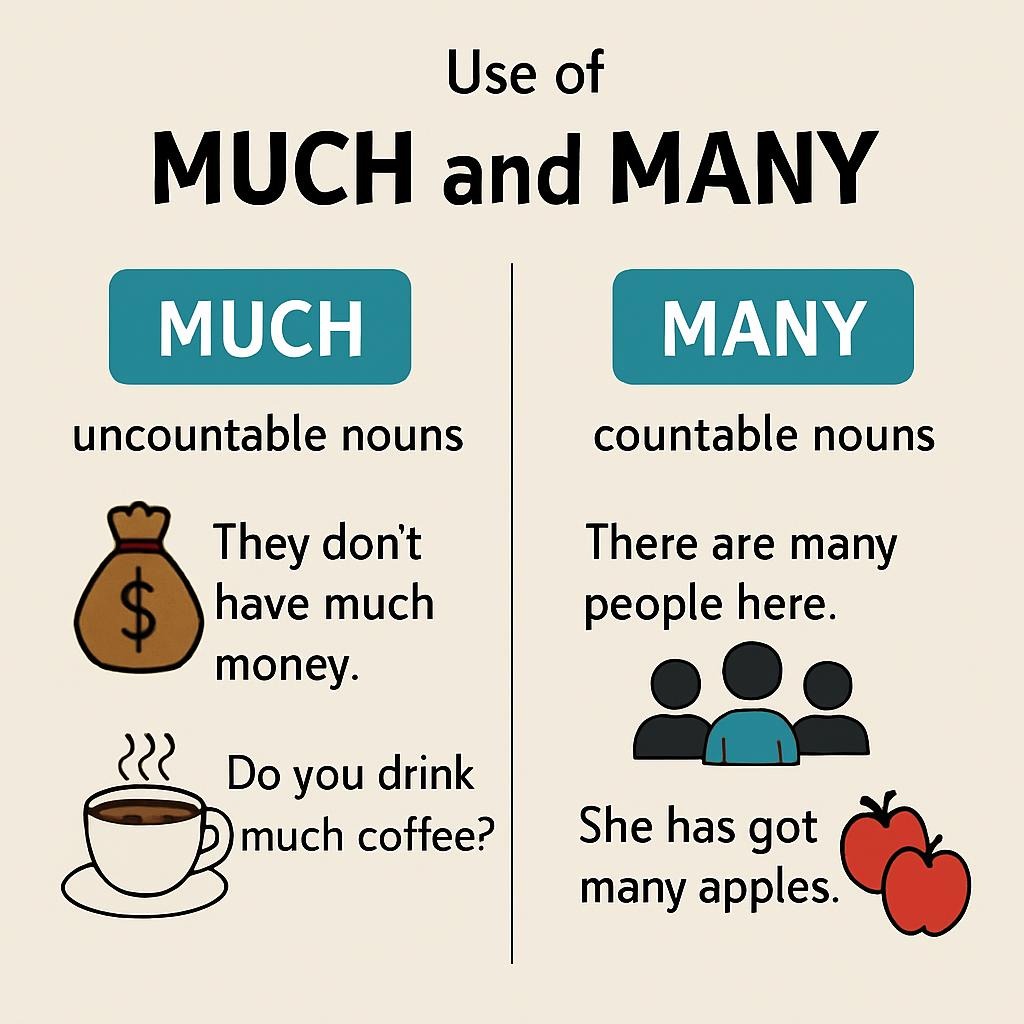 Use of Much and Many